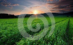 Sunset over farm field