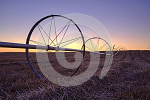 Sunset over a farm field.