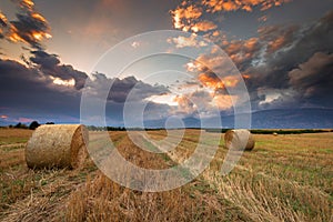 Sunset over farm field.