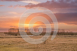 Sunset over farm field with hay bales. Concept of wildlife, fora