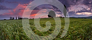 Sunset over farm field in wind