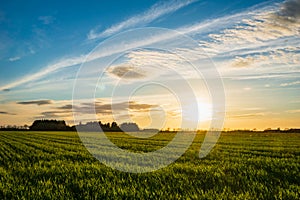 sunset over farm fields, rural farm landscape in Europe