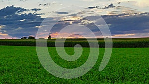 Sunset over farmlands and corn fields with clouds and blue sky