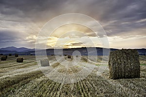 Sunset over a field with bales of wheat straws