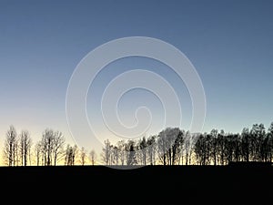 Sunset over the field with late autumn trees in Reola, Kambja vald, Tartu maakond, Estonia, November 2022