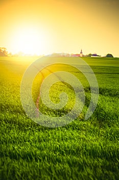 Sunset over field