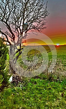 Sunset over the fields in winter