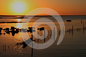 Sunset over a flooded field, at Le Mont Saint Michel