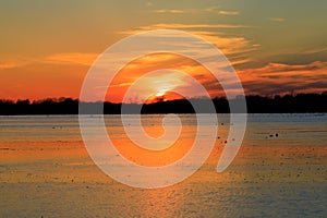 Sunset over flooded rice fields used for hunting during duck season.