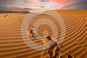 Sunset over footprints in the sand, Sahara - Erg Chebbi, Morocco