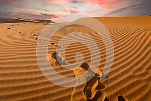 Sunset over footprints in the sand, Sahara - Erg Chebbi, Morocco photo