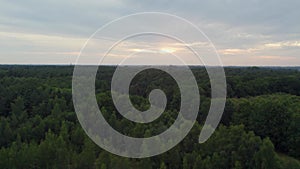 Sunset over the forest canopy: a vast landscape at dusk