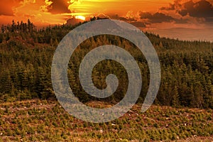 Sunset over the forest covered hill