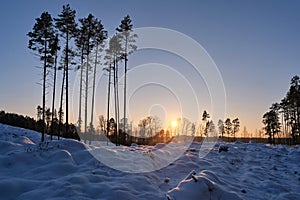 Sunset over forest observing Latvia