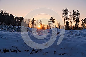 Sunset over forest observing Latvia