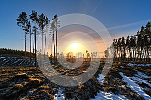 Sunset over forest observing Latvia