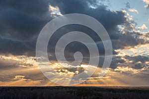 Sunset over the forest with sun rays breaking through clouds