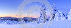 Sunset over frozen trees on a mountain, Finnish Lapland