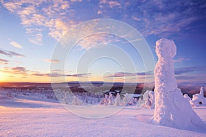 Sunset over frozen trees on a mountain, Levi, Finnish Lapland