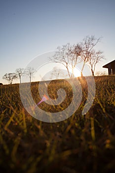 Sunset Over Grassy Field