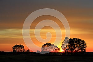 Sunset over the grassy meadows and wetlands - wildlife and birds reserve - and the Biebrza river in the Biebrzanski National Park