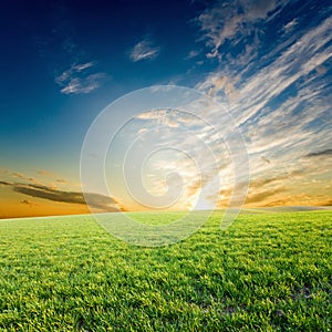 Sunset over green crops