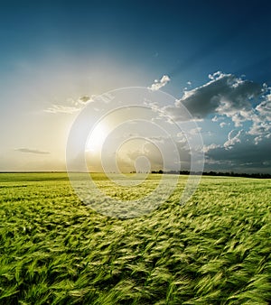 Sunset over green field