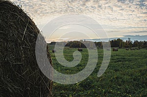 Sunset over a green field with hays in Latvia.