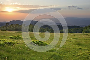 Sunset over green field