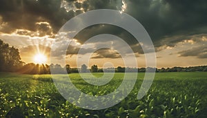 a sunset over a green field with the sun shining through the clouds, wind moving green grass