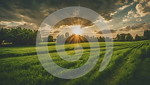 a sunset over a green field with the sun shining through the clouds, wind moving green grass