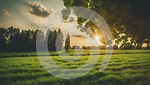 a sunset over a green field with the sun shining through the clouds, wind moving green grass