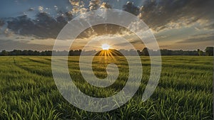 a sunset over a green field with the sun shining through the clouds, wind moving green grass