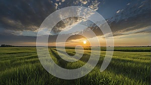 a sunset over a green field with the sun shining through the clouds, wind moving green grass