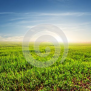 Sunset over a green fields