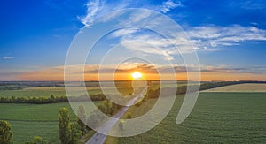 Sunset over a green wheat field