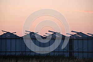 Sunset over a greenhouse with roses in Moerkapelle where windows are open to cool the roses.