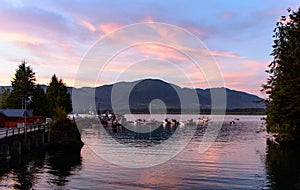 Sunset over a harbor of a small fisher village on Vancouver Island, North-America, Canada, British Colombia, August 2015