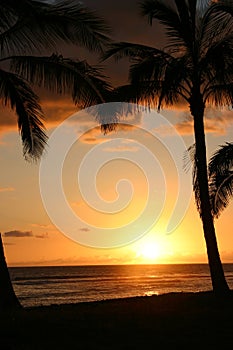 Sunset over Hawaii beach