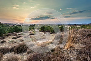 Sunset over Heather and Sand in the Veluwe Area