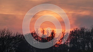 Sunset over Hylands Park, the amber glow attracting lovers.