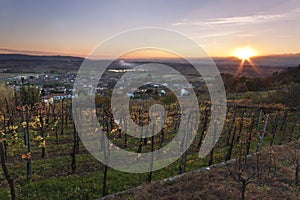 Sunset over Italian vineyard on autumn