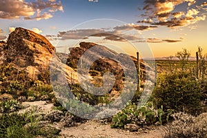 Sunset over Javelina Rocks in Saguaro National Park photo