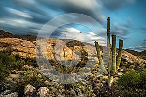 Sunset over Javelina Rocks in Saguaro National Park