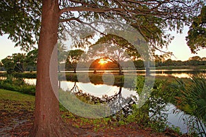 Sunset Over John S Taylor Park