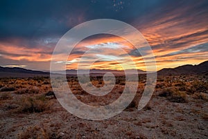 SUNSET OVER JOSHUA TREE NATIONAL PARK