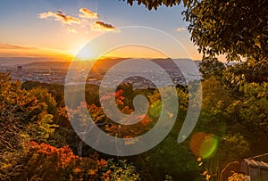 Sunset over Kyoto with a red mapple