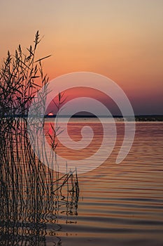 Sunset over lake with reeds and grasses in foreground