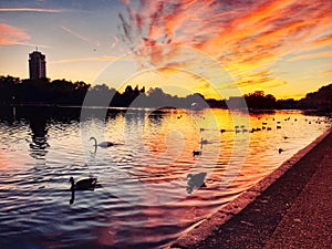 Sunset over lake Serpentine in Hyde Park London