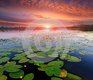 Sunset over lake surface